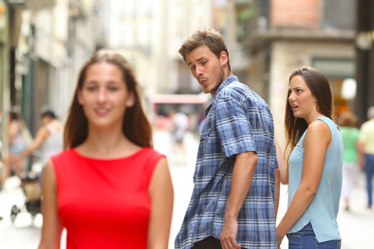 Distracted Boyfriend meme about Modern Animal