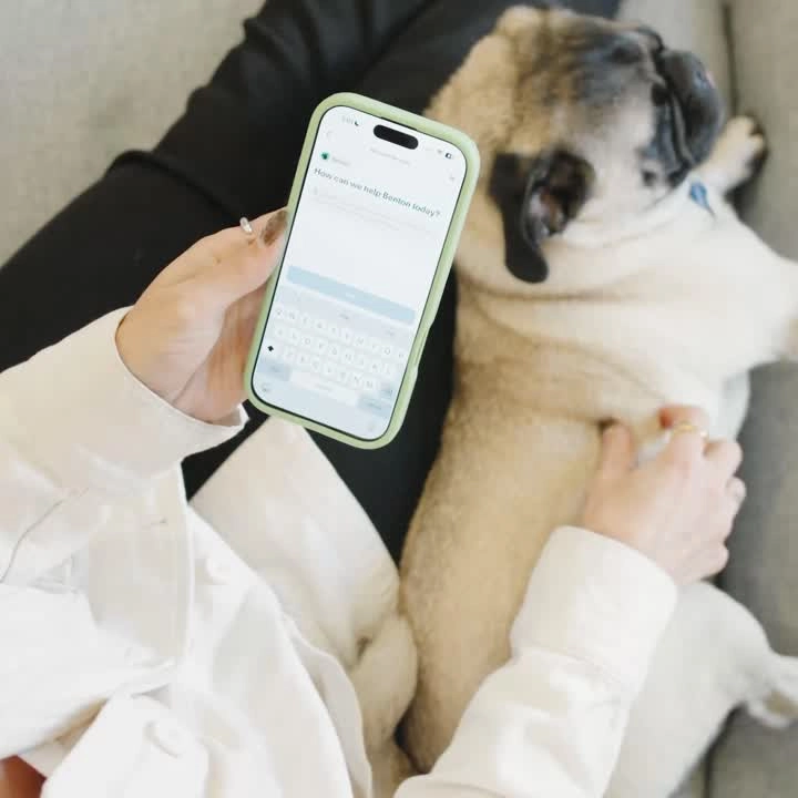 A hand holding a phone with the modernanimal app open above a sleepy pug resting on a lap