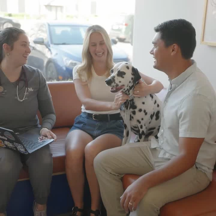 Two people and a spotted dog sitting on an orange sofa in a clinic lobby