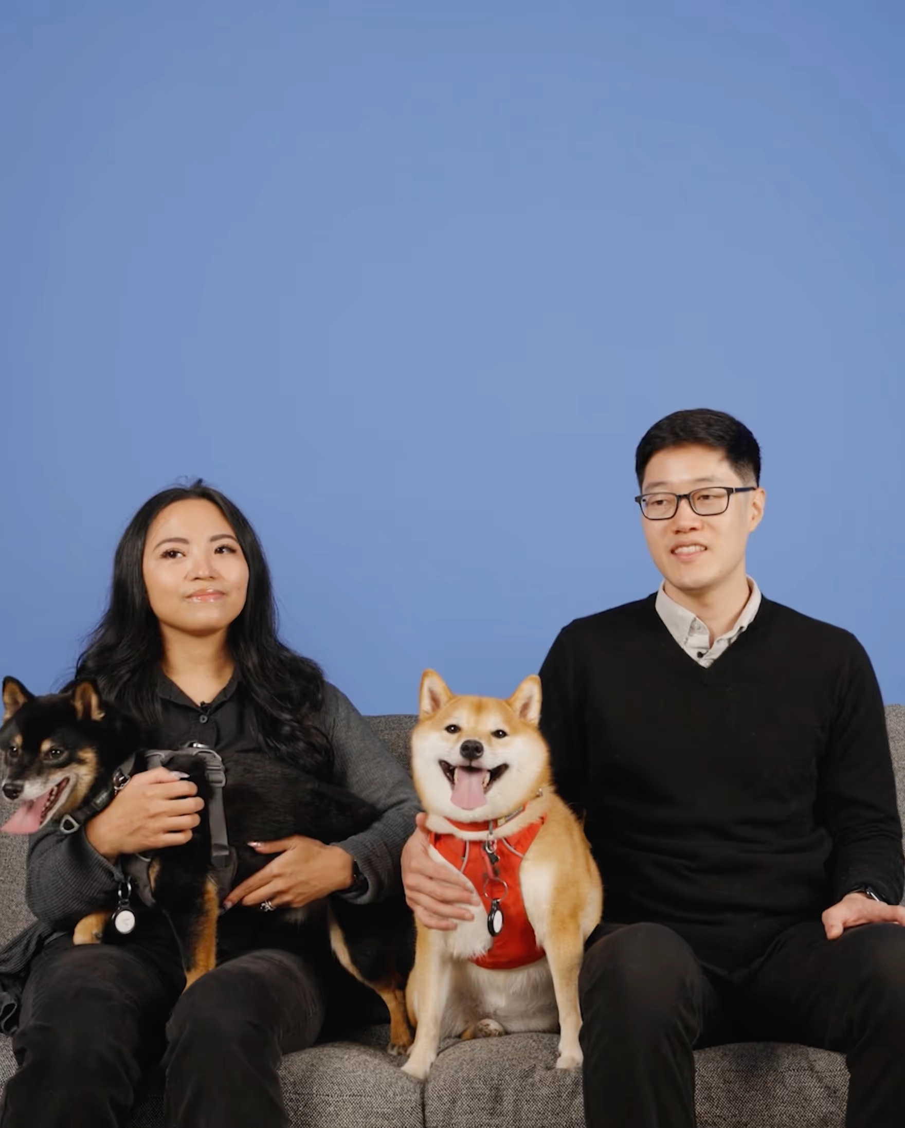 Two people seated on a sofa with a Shiba Inu and a small dark dog in front of a blue wall