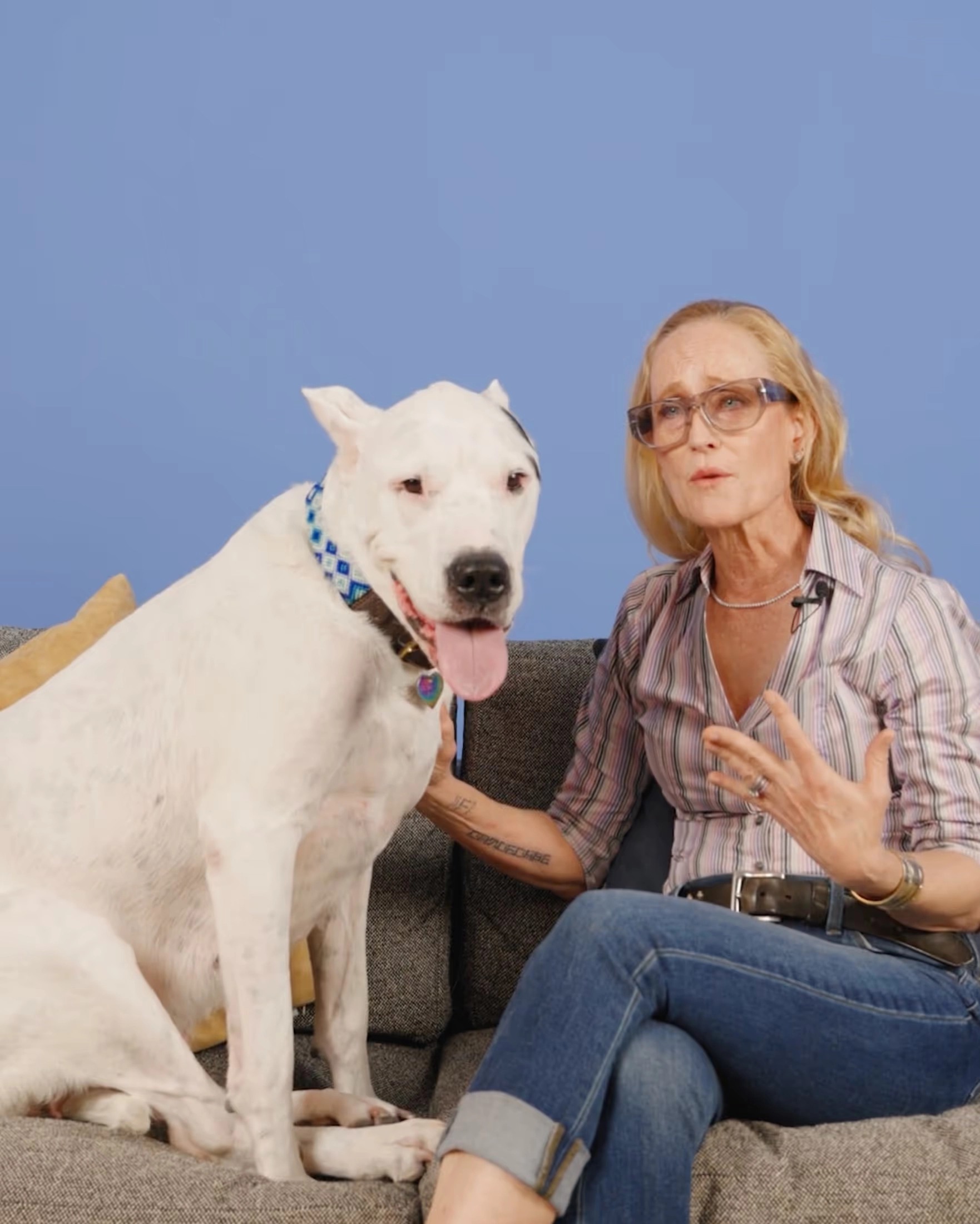 A white dog beside a woman in glasses on a sofa