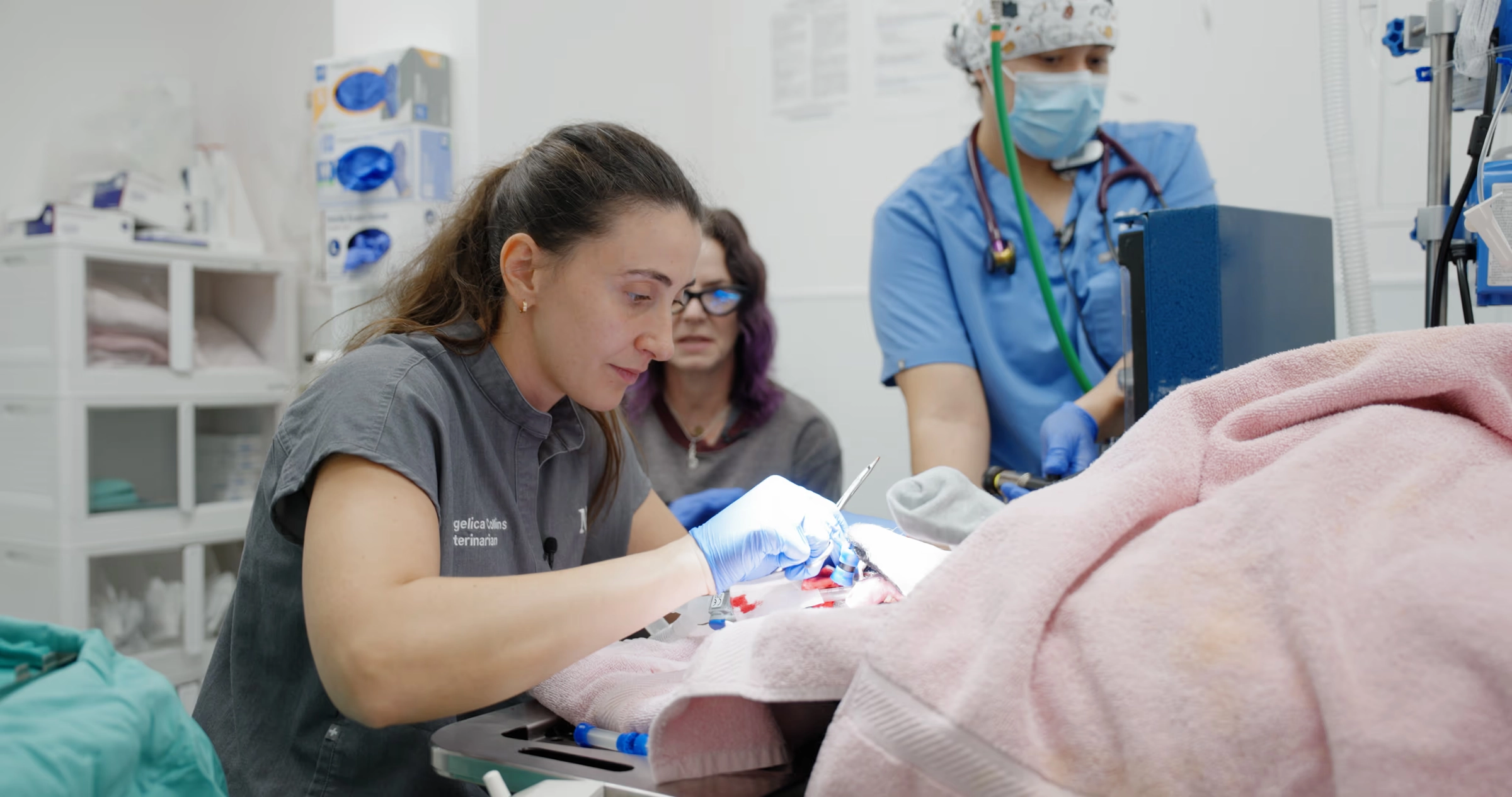 A veterinary team in scrubs tending to a pet under a pink blanket in a bright operating room