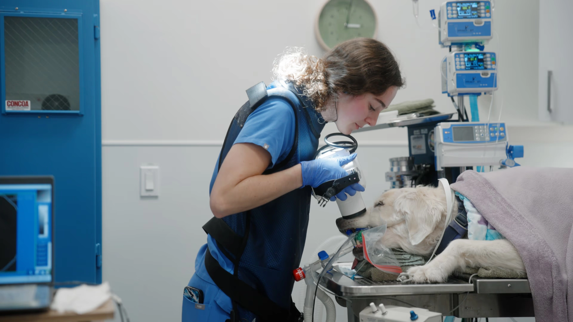 A veterinary nurse in a blue gown working beside monitoring equipment in an operating room