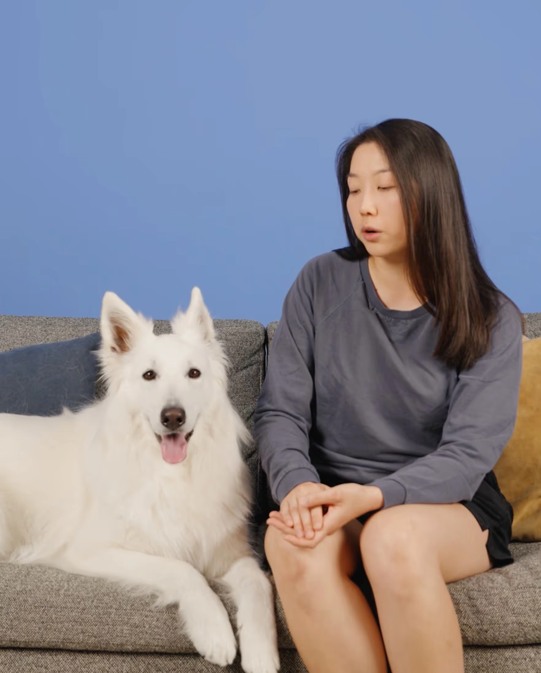 A woman in a gray sweater beside a large white dog